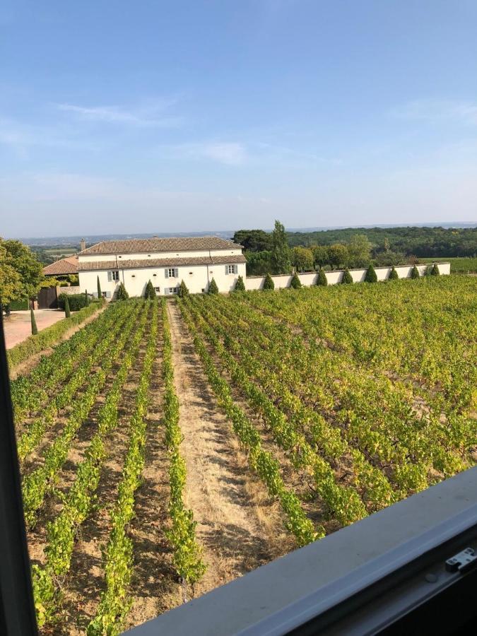 Le Petit Gite De Javernieres Etage Villié-Morgon Extérieur photo